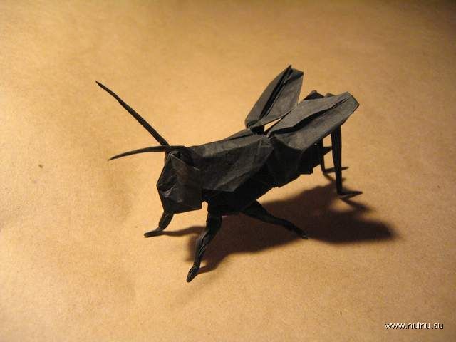 Оригами: насекомые из бумаги (47 фото)