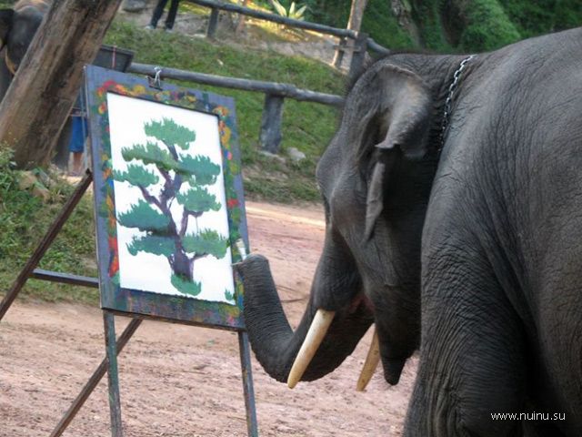 Слон художник (9 фото)
